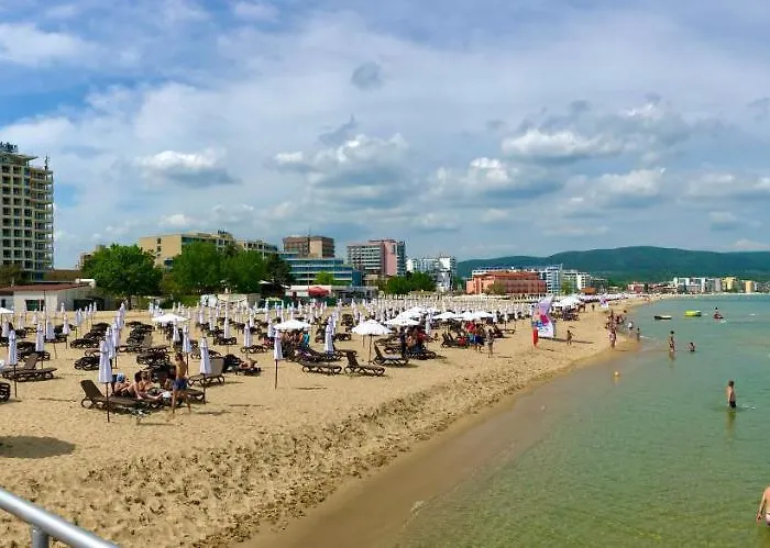 Premium Midia Apartment